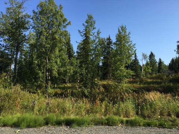 63747 Oil Well Rd, Ninilchik, AK 99639